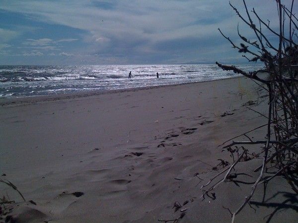 nues dans les dunes